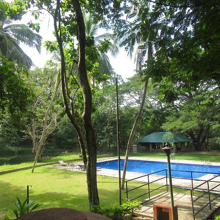 Dambulu Oya Family Park Hotel Dambulla Eksteriør billede