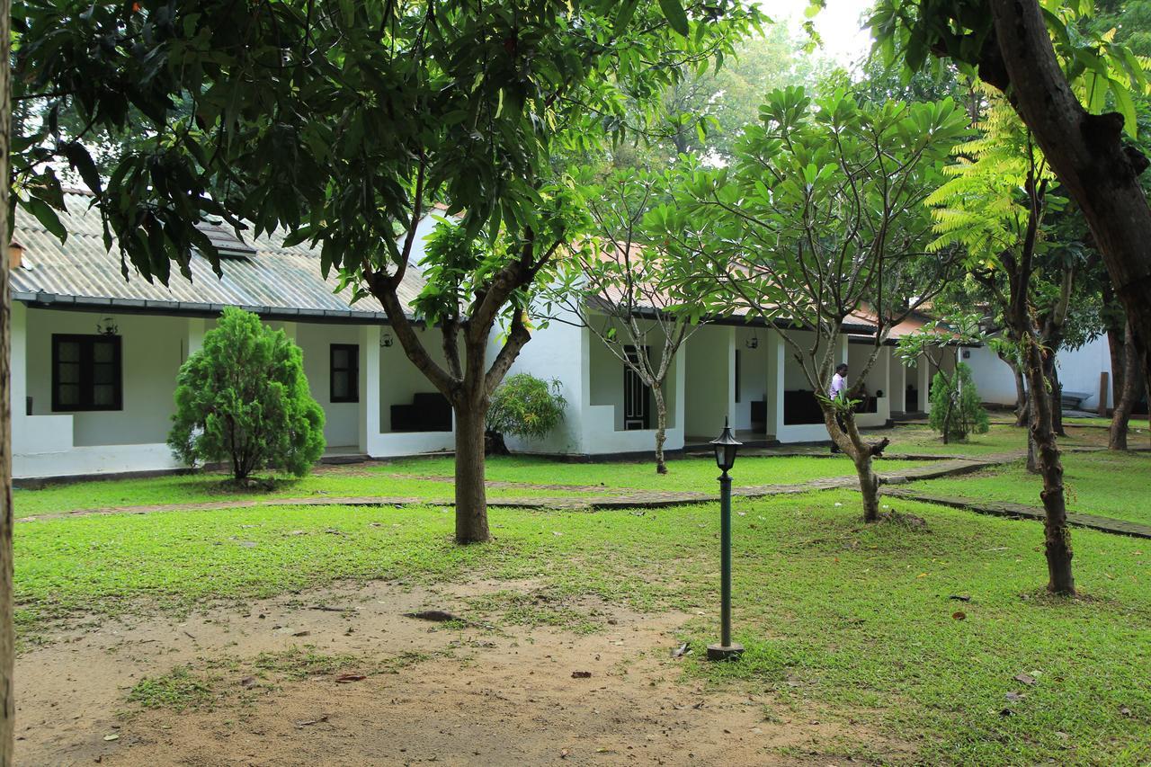 Dambulu Oya Family Park Hotel Dambulla Eksteriør billede