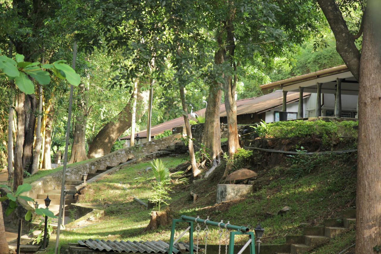Dambulu Oya Family Park Hotel Dambulla Eksteriør billede