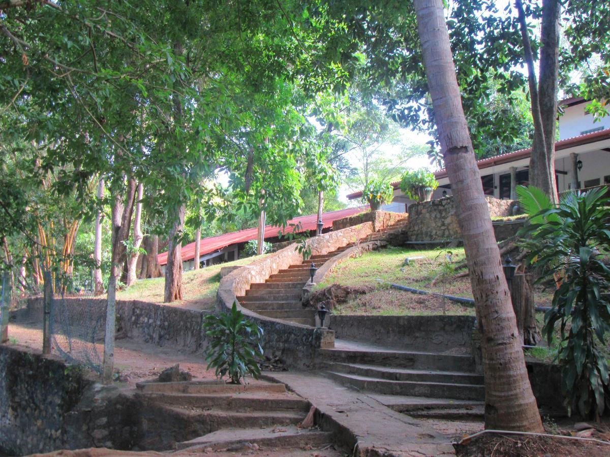 Dambulu Oya Family Park Hotel Dambulla Eksteriør billede