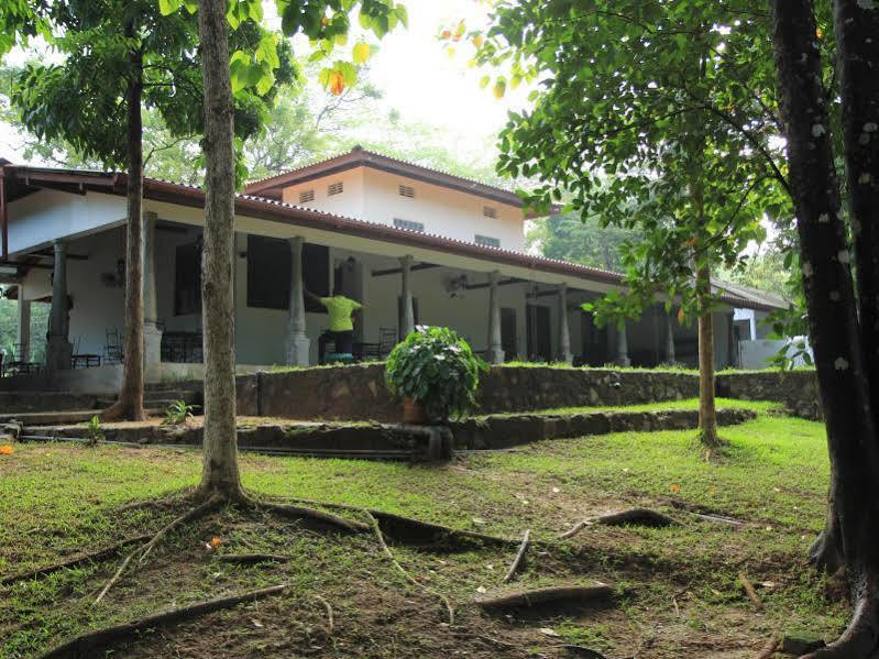Dambulu Oya Family Park Hotel Dambulla Eksteriør billede