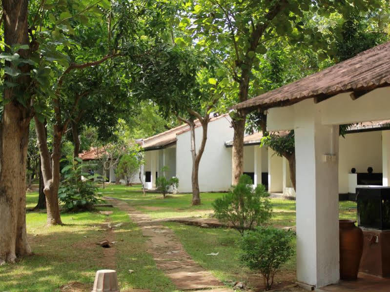 Dambulu Oya Family Park Hotel Dambulla Eksteriør billede