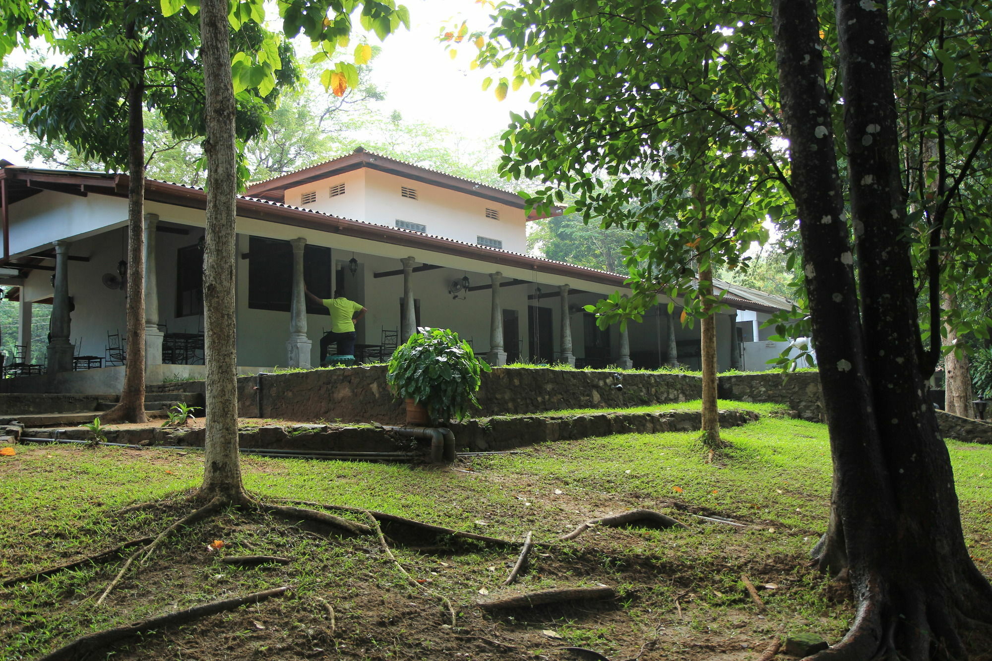 Dambulu Oya Family Park Hotel Dambulla Eksteriør billede