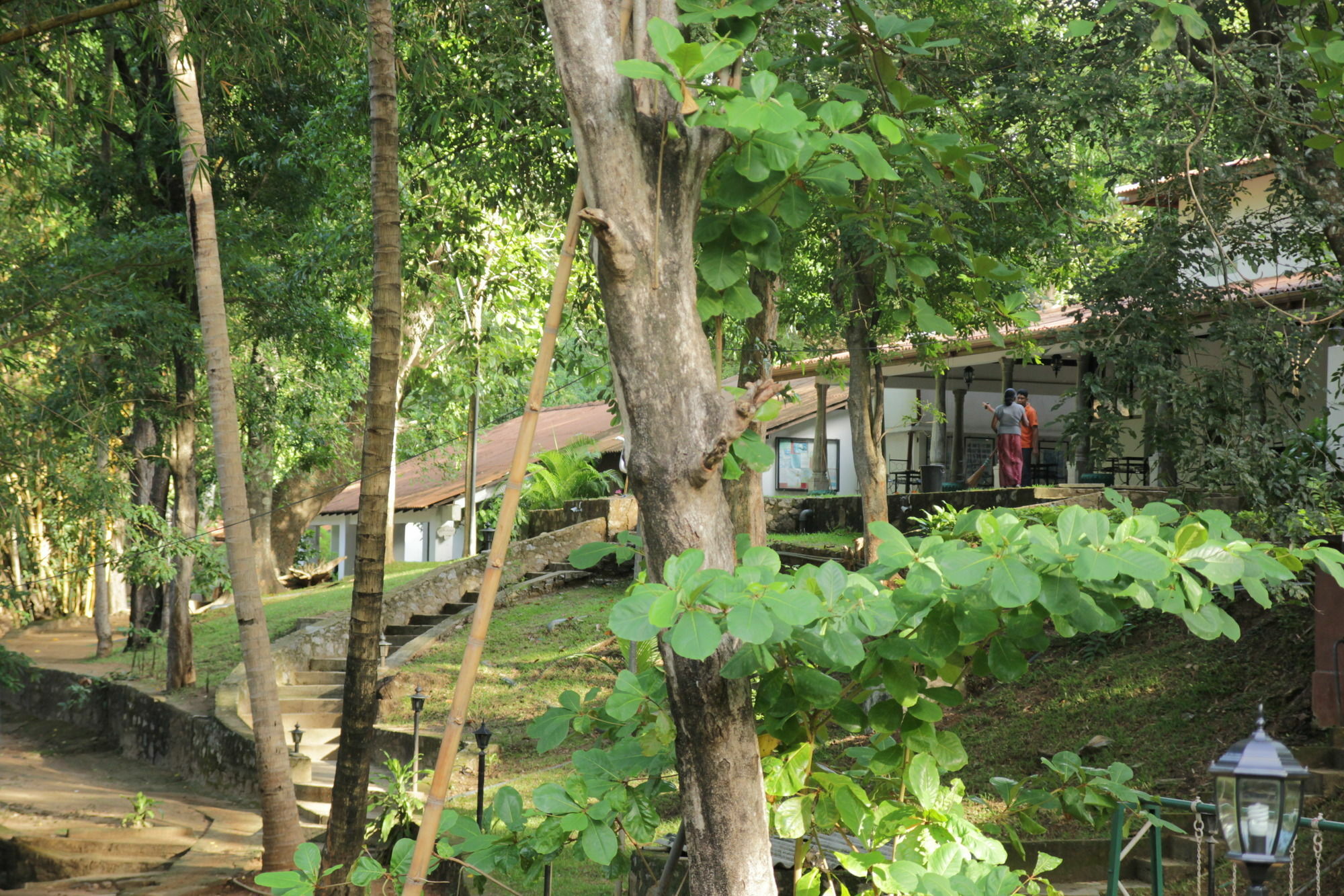 Dambulu Oya Family Park Hotel Dambulla Eksteriør billede