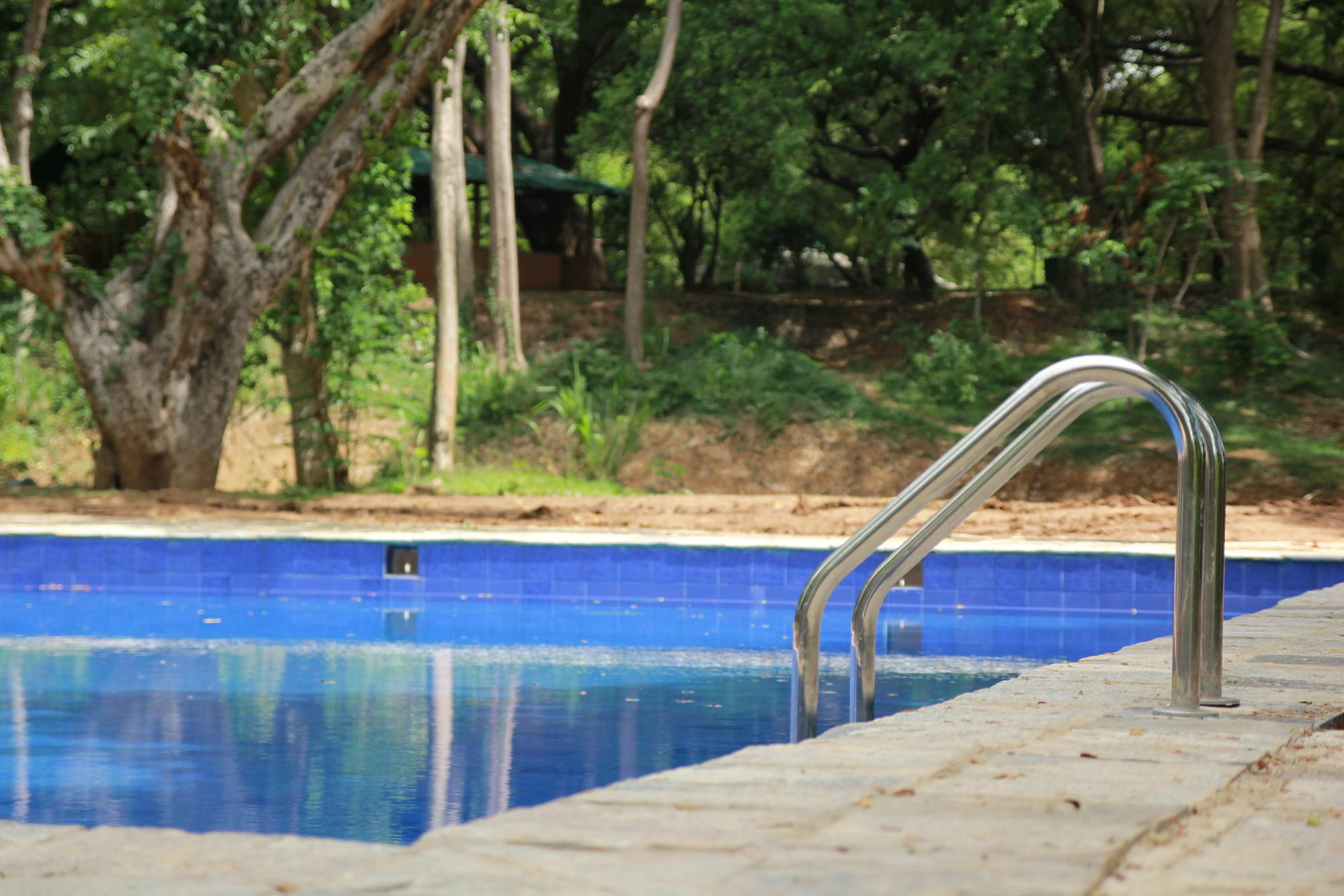 Dambulu Oya Family Park Hotel Dambulla Eksteriør billede