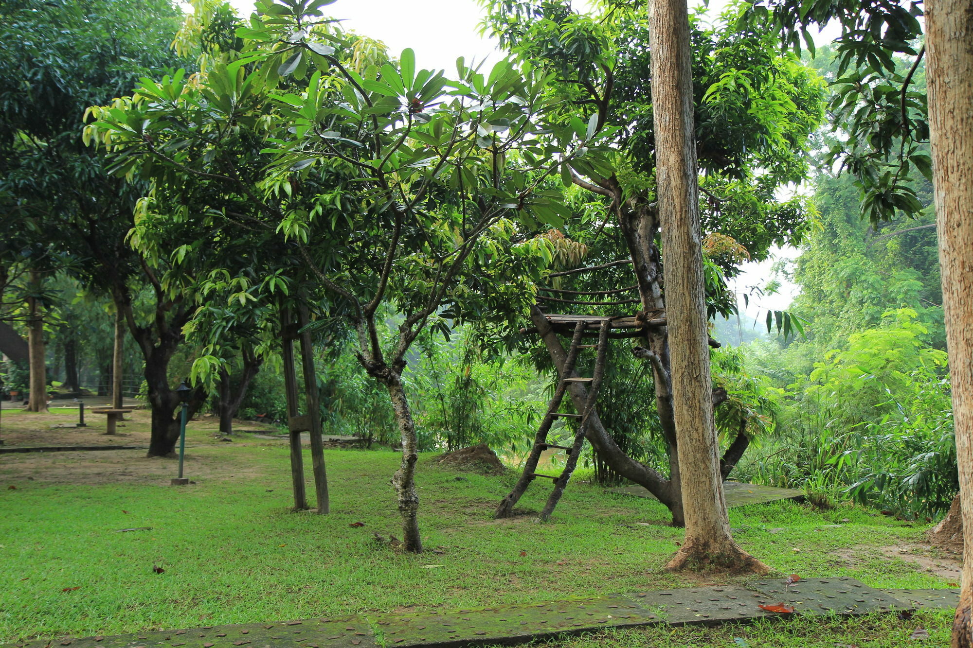 Dambulu Oya Family Park Hotel Dambulla Eksteriør billede